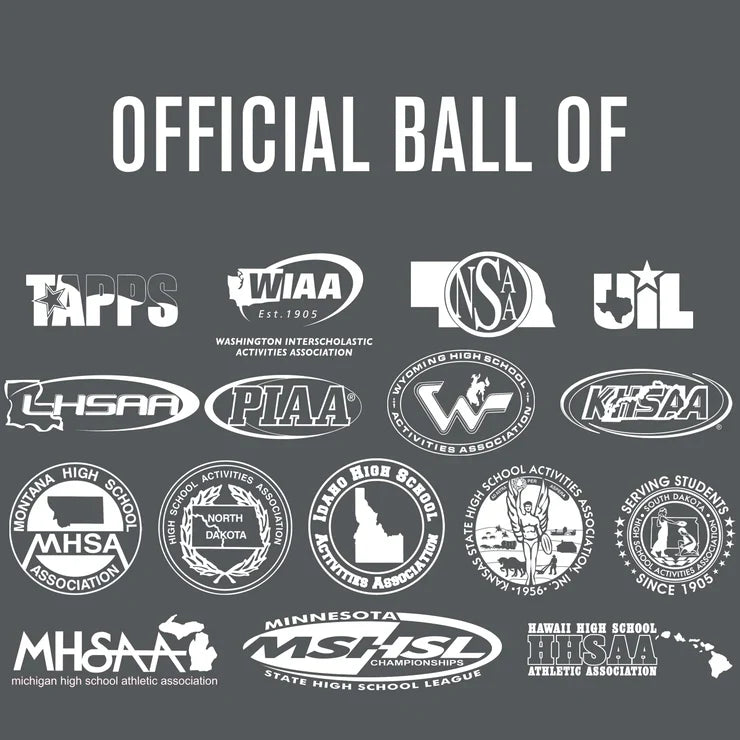 Perfection Leather Volleyball (3-Pack)