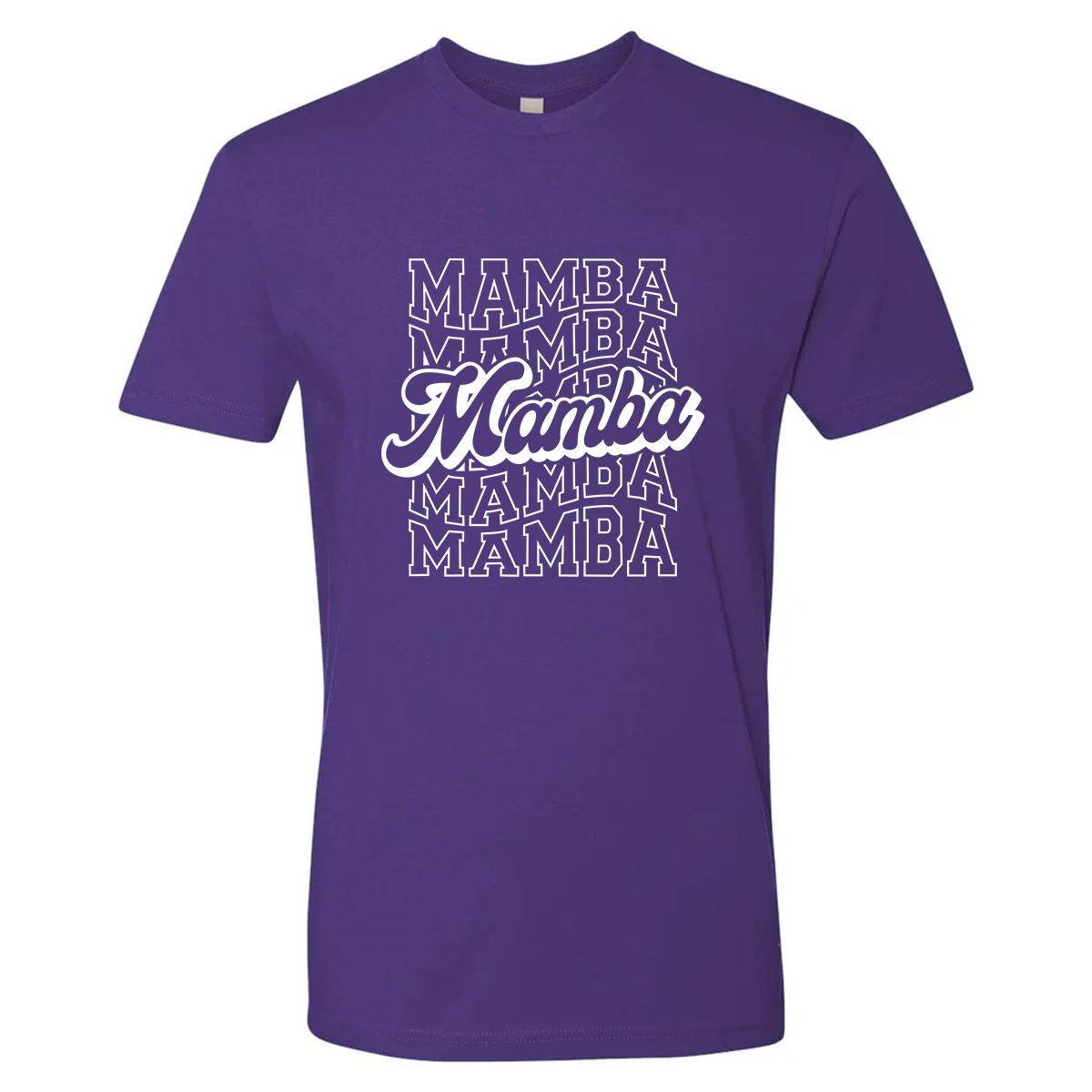 Adult Next Level Cotton T-Shirt