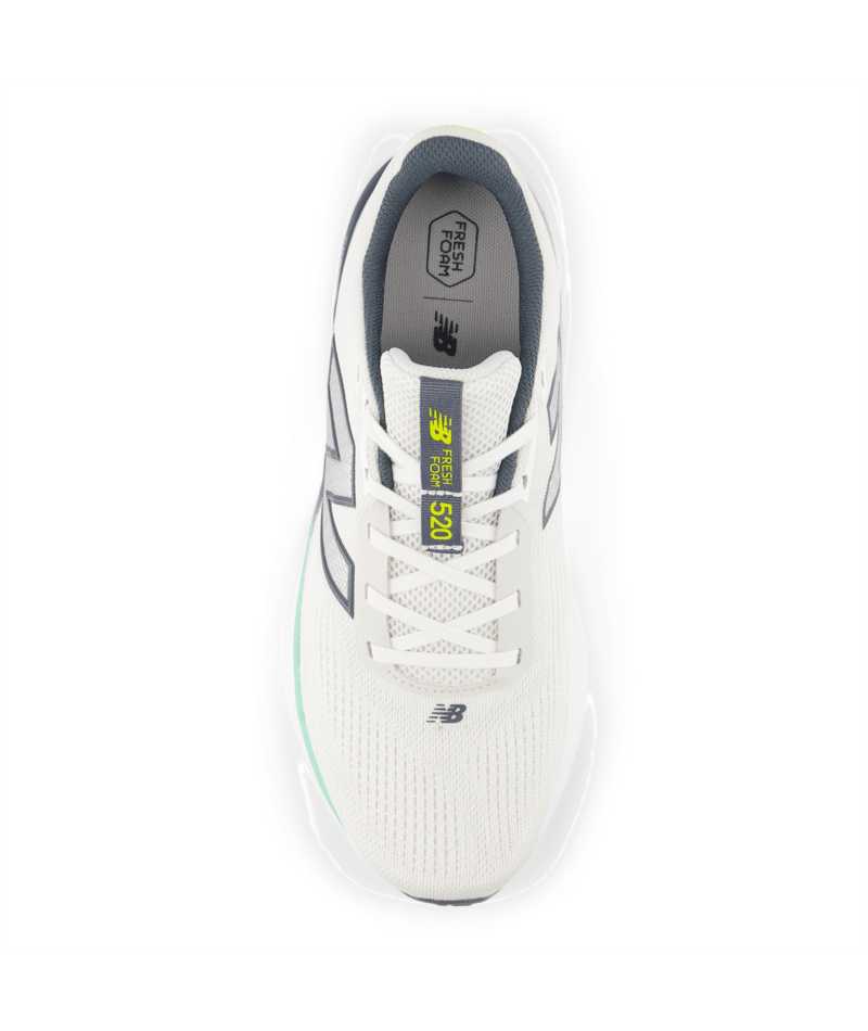 Fresh Foam 520 v9 - REFLECTION