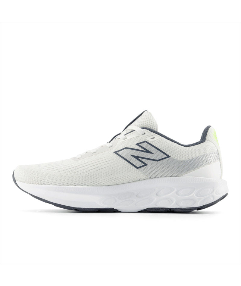 Fresh Foam 520 v9 - REFLECTION