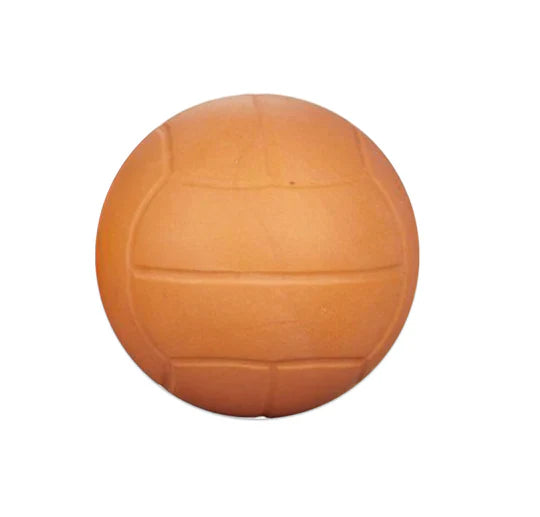 Elevate Sports - Pro Mini Lacrosse Stick